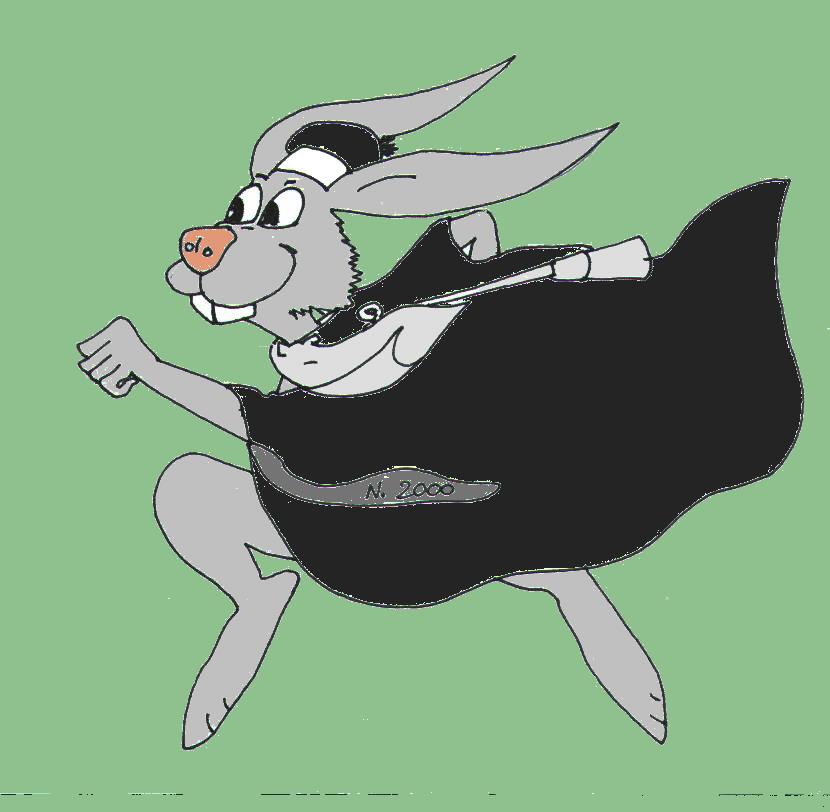 3 3